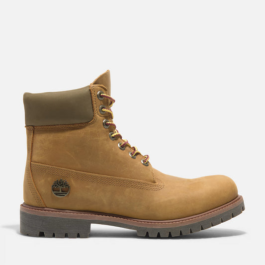 TIMBERLAND TB0A2P6WEN11ASS