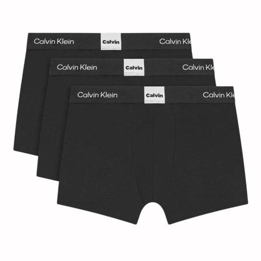 CALVIN KLEIN LV00NB4476UB1
