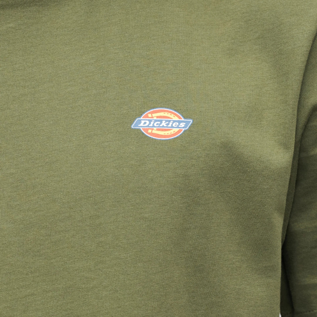 DICKIES DK0A4XDBK721ASS